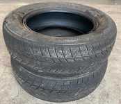 Davanti Wintoura 195/65 R15 91T