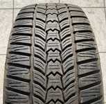 Sava Eskimo HP2 205/55 R16 91H